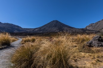 Hiking-New-Zealand-27