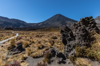 Hiking-New-Zealand-28