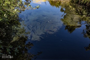 Hiking-New-Zealand-3