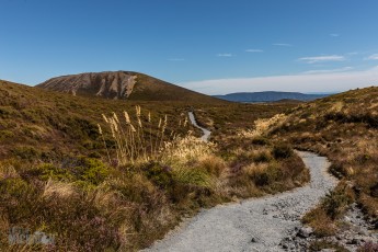 Hiking-New-Zealand-33