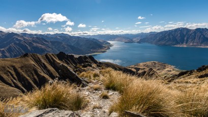 Hiking-New-Zealand-80