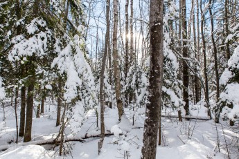 Hogback Mtn Marquette - U.P. Winter - 2014 -2