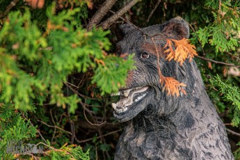 Humongous-Fungus-Festival-Crystal-Falls-2023-05