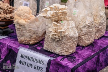 Humongous-Fungus-Festival-Crystal-Falls-2023-06