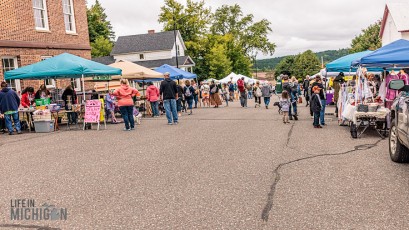 Humongous-Fungus-Festival-Crystal-Falls-2023-47