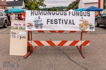 Humongous-Fungus-Festival-Crystal-Falls-2023-48