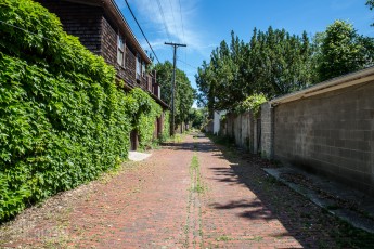 Indian Village - Home Tour - Detroit - 2015-35