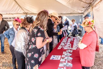 Hats-Horses-Iron-Fish-2019-22