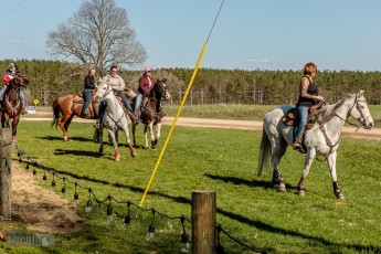 Hats-Horses-Iron-Fish-2019-53