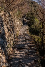 Italy-Cinque-Terra-2023-10