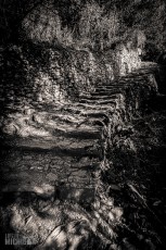 Italy-Cinque-Terra-2023-13