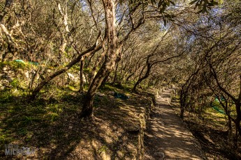 Italy-Cinque-Terra-2023-14