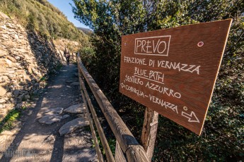 Italy-Cinque-Terra-2023-16