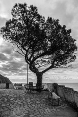 Italy-Cinque-Terra-2023-39