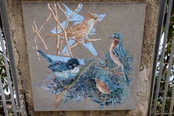 Italy-Cinque-Terra-2023-41