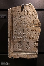 Italy-Cinque-Terra-2023-56