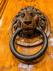 Italy-Firenze-Food-Tour-2023-10