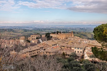 Italy-Siena-tour-35