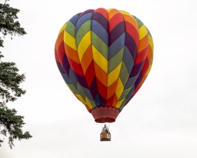 Jackson Hot Air Balloon Jubilee