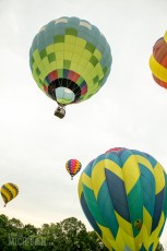 Jackson Hot Air Balloon Jubilee