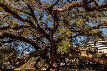 Jacksonville-St-Augustine-FL-2026-1