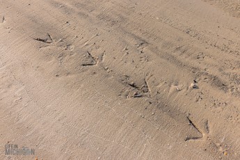 Jacksonville-St-Augustine-FL-2026-84