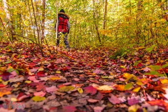 Jordan River Valley - Fall 2022