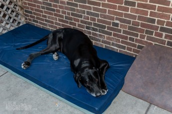 Kalamazoo Craft Beer Trail - 2015-33