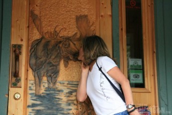 Brenda loves moose :)