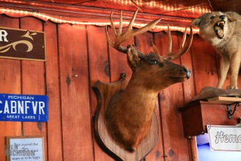 Lake-Superior-Beer-Tour-Lake-Superior-Brewing-Co-7