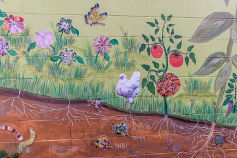 Lake-Superior-Circle-Tour-Ashland-Bayfield-23