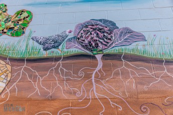 Lake-Superior-Circle-Tour-Ashland-Bayfield-24