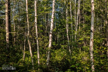 Lake-Superior-Circle-Tour-Duluth-15