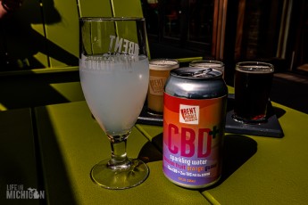 Lake-Superior-Circle-Tour-Duluth-37