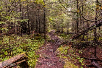 Lake-Superior-Circle-Tour-Thunder-Bay-17