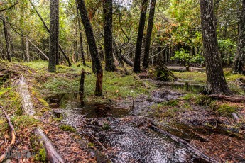 Lake-Superior-Circle-Tour-Thunder-Bay-22