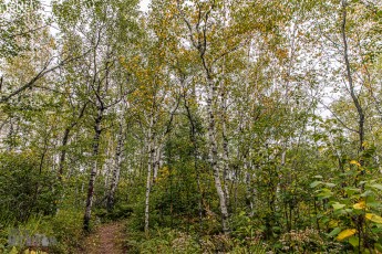 Lake-Superior-Circle-Tour-Two-Harbors-3