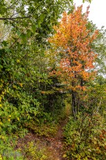 Lake-Superior-Circle-Tour-Two-Harbors-4