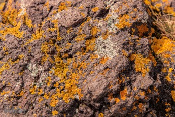 Lake-Superior-Circle-Tour-Two-Harbors-48