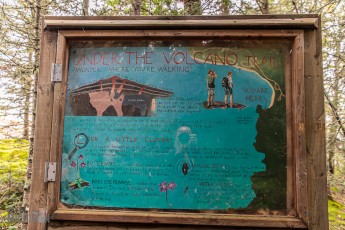 Lake-Superior-Circle-Tour-Wawa-11