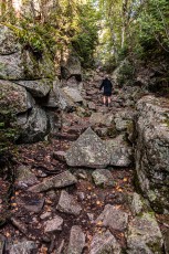 Lake-Superior-Circle-Tour-Wawa-44