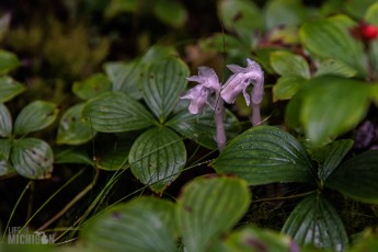 Lake-Superior-Circle-Tour-Wawa-6