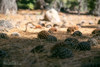 Lassen Volcanic National Park - 2014