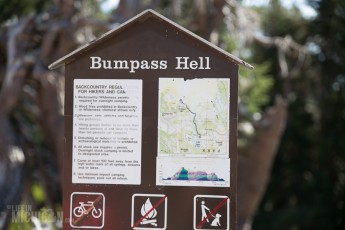 Lassen Volcanic National Park - 2014