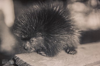 MarquetteRegionalHistoryCenter-HappyHour-2023-61