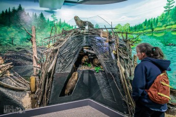 MarquetteRegionalHistoryCenter-HappyHour-2023-63