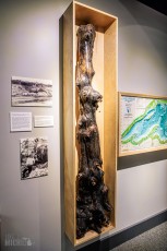 MarquetteRegionalHistoryCenter-HappyHour-2023-66