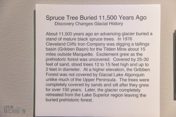 MarquetteRegionalHistoryCenter-HappyHour-2023-67