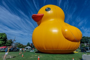 Marquette-Sails-History-Beer-2022-1