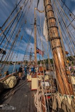 Marquette-Sails-History-Beer-2022-13